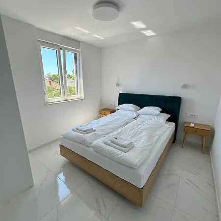Beautiful New Palmtree Iii Apartment
